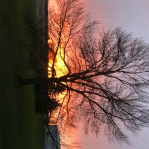 Meet your Posher, Dannesia